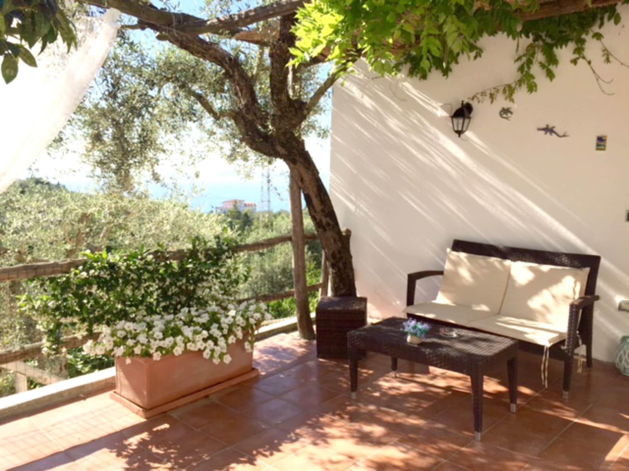 Villa Carolina Sorrento Private Heated Pool And Sea View