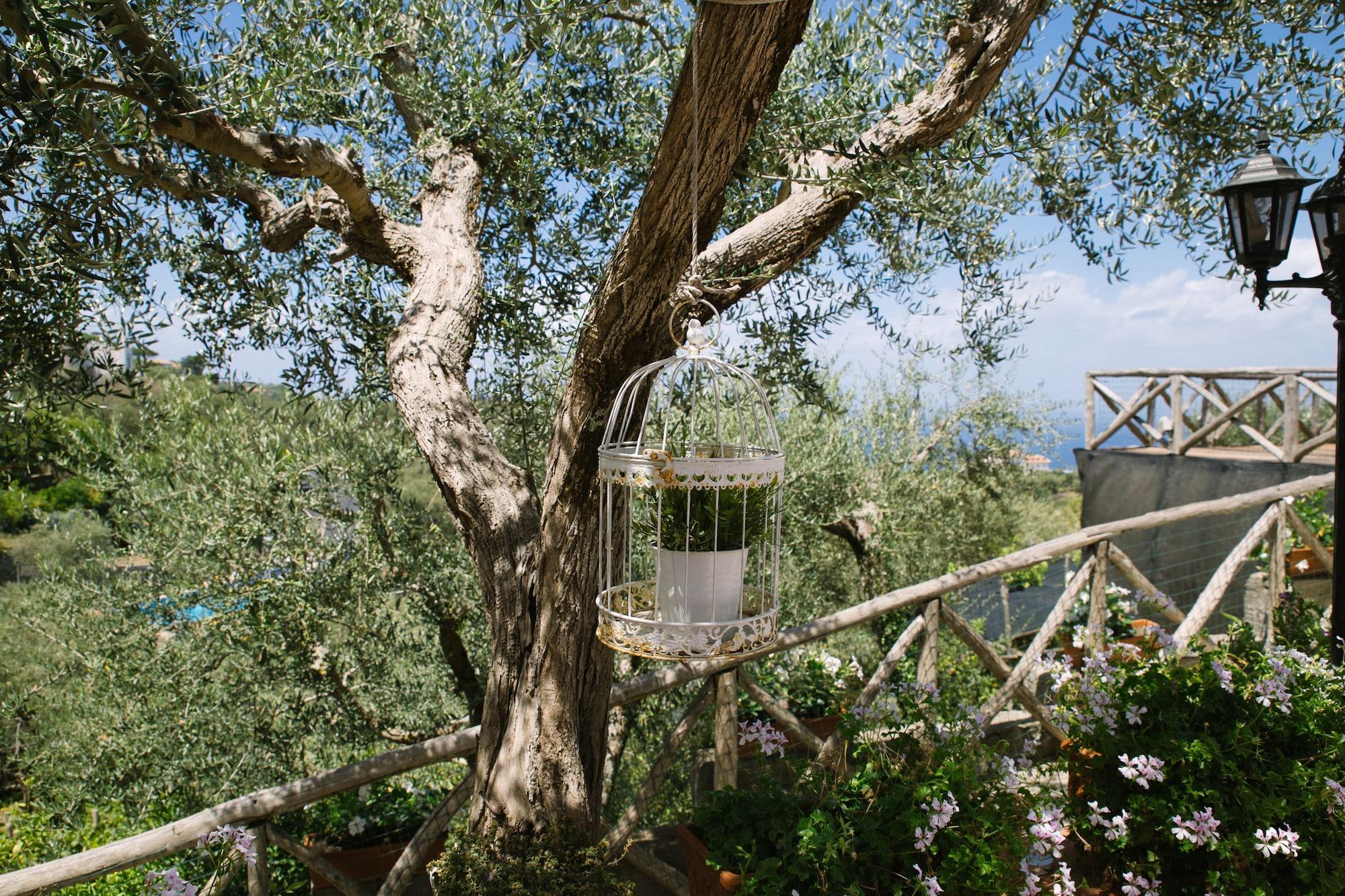Villa Villa Carolina Sorrento Private Heated Pool And Sea View